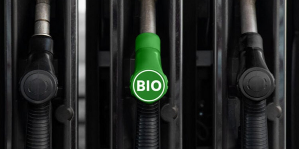 การทดสอบคุณภาพไบโอดีเซลแบบอัตโนมัติด้วย Gas Chromatography (GC)
