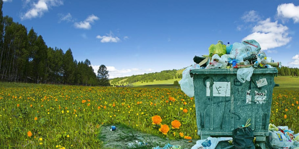 การแปรรูปขยะเป็นพลังงาน